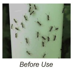 Before Use of Nectar Fortress™, ants on a pole 