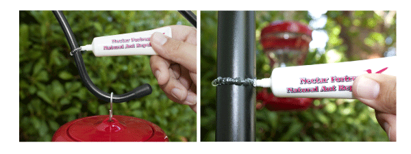 Applying Nectar Fortress™ Natural Ant Repellent directly on to the pole or hook